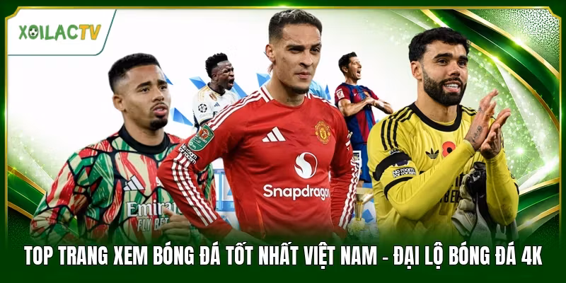 Top Trang Xem Bóng Đá Tốt Nhất Việt Nam - Đại Lộ Bóng Đá 4K